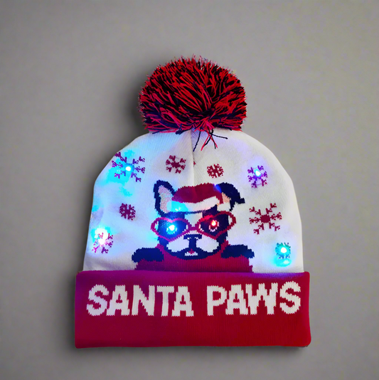 Light Up Christmas Beanie- Santa Paws - Reindeer Twists